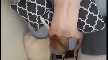 Tatted White Girl - doggystyle, wet-pussy - Video 2428507