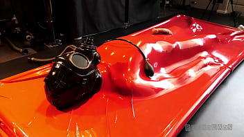 Boundlads - Pup In Vacbed