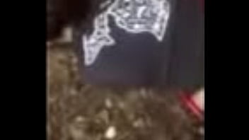 Forest, Fun - Unknown - 2025 - Passionate - Session - Video 2328017