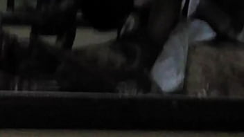 Mi Perra Se La Traga Entera