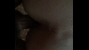 L_inculata Con Katepraga