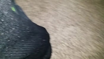 Verification Video - verification-video - Video 2324646