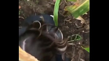 Cogiendo Al Aire Libre - cogiendo, en-el-monte - Video 2343411