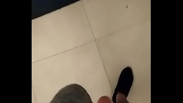 Urso Mamando Na Academia