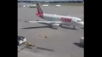 Amateur, Amateurs - Amateur - 2025 - Wild - Session - Video 2406209