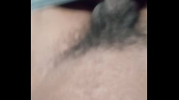 Bugout Public Solo Nut