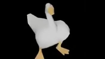 Motorista Chapado Ozonibu