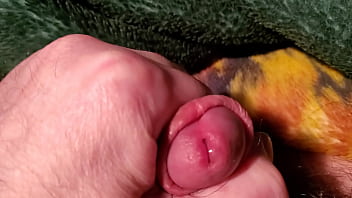 Masturbation Pre Cum