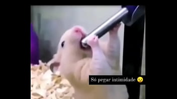 Cumshot, Cum, Sex, Lesbian, Pussy, Fucking, Sexy, Riding, Amateur, Homemade, Wife, Young, Masturbati - Cumshot - 2025 - Hot - Experience - Video 2296122