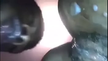 Video De Vérification - verification-video - Video 2324167