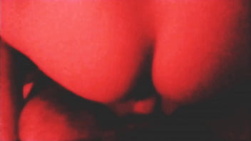 Sentando No Sulista Peludo