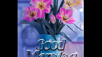 Verification Video - verification-video - Video 2323716