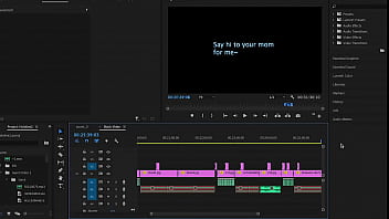 Verification Video - verification-video - Video 2319155