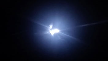 Tease, Shemale, Voyeur, Stripper, Dance, Showing-off, Me-teasing - Shemale - 2025 - Intense - Experience - Video 2283926