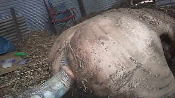 Dildo, Outdoor, Dirty, Mud, Soloboy - Sex_toys - 2025 - Incredible - Experience - Video 2310338