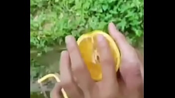 Tutorial Insano Para Iniciantes