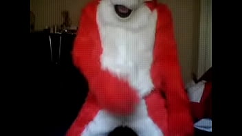 Masturbation, Fox, Gay, Teaser, Fursuit, Maxamilion-the-fox - Gay - 2025 - Steamy - Experience - Video 2270731