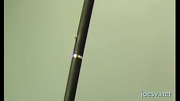 Black Gay Porn On Web Camera