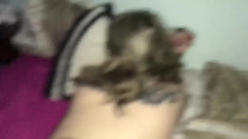 Interracial Amateur Couples