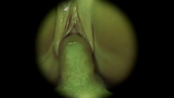 Chupando O Cu Da Novinha