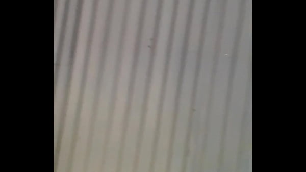 Vídeo De Verificación - verification-video - Video 2281920