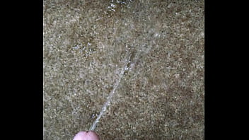 Releasing The Golden Stream On The Carpet And The Wall Again