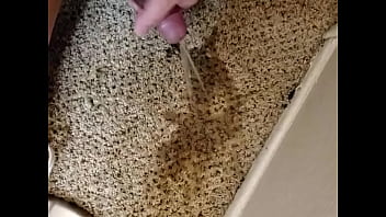 Soaking The Carpet