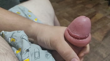 Pau Gordo, Cogumelo, Grosso.