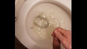 Toilet Piss Fountain