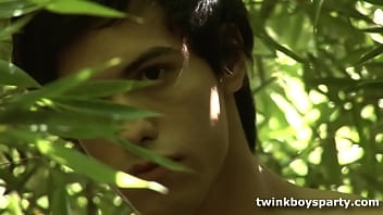 Twinks Anibal And Julian Fuck Outdoors - gay, twinks, big-dick, cock-sucking, fucking-cum-shot - Video 2219039