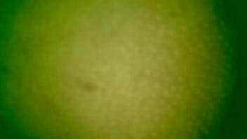 Mi Esposa Con Desconocido - trio-casero, esposa-compartida - Video 2219790