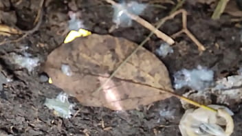 Meti A Rola No Moleque Que Gozou Feito Cavalo - Video Exclusivo Red