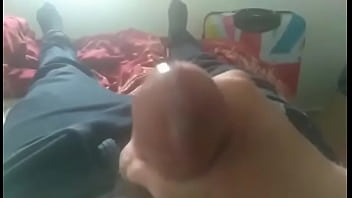 Jalandomela Y Saco Lechita