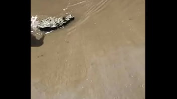 Quilmeño Pajero - sex, amateur, gay - Video 2176782