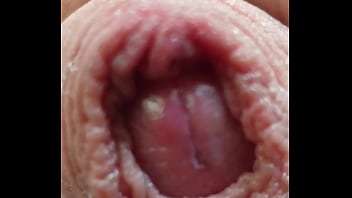 Just The Tip Very Close Up