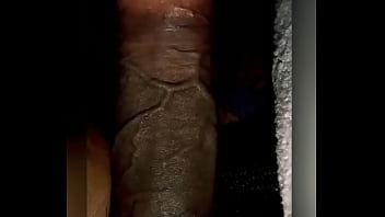 Elenpatro 8 Inches Dick Long Playing