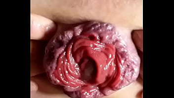 Anal, Toy, Gay - Gay - 2025 - Wild - Performance - Video 2185896