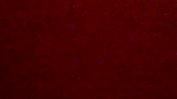 Paja Con Ropa De Mi Mujer