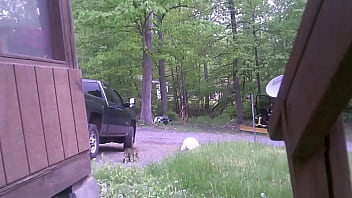 Outdoor, Naked, Public, Nude, Gay, Outside, Fun, Trash, Exhibition - Gay - 2025 - Hot - Show - Video 2141390