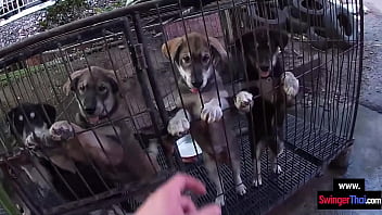 Amateur Asian Teen Gf Sucks Her Boyfriends Big Dick Back In The Hotel