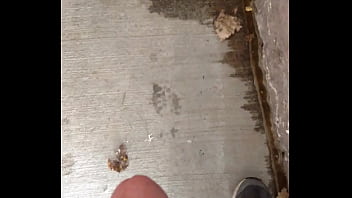 Just A Guy Peeing Where He Wants 2