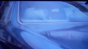 Cena De Sexo Em Beleza Americana