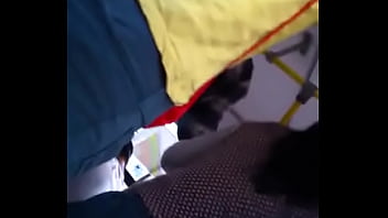 Culazo En Bus El Rapido