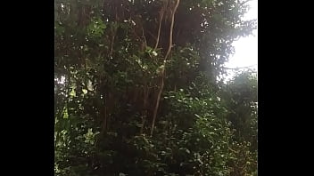 Putita Caliente Caminando Por El Bosque Con Plug En El Culo