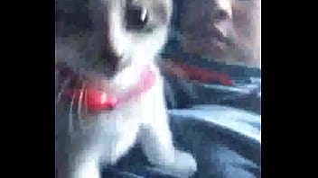 Verification Video - soloboy, verification-video - Video 2132419