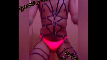 Vuelven Los Vivos De Levantes (instagram: @cerita Negra.ok_)