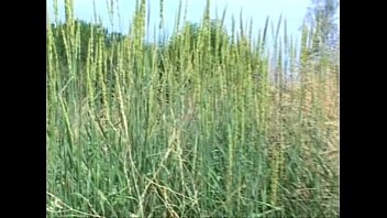 Fawna - Hot Chick Little Dick