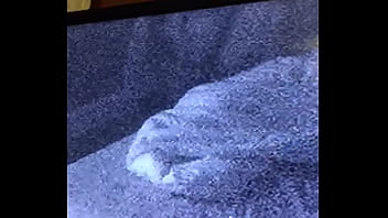 Mi-amiga-en-su-casa, Rica-q-esta - Unknown - 2025 - Incredible - Show - Video 2129902