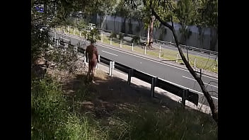Public Nudity By Freeway