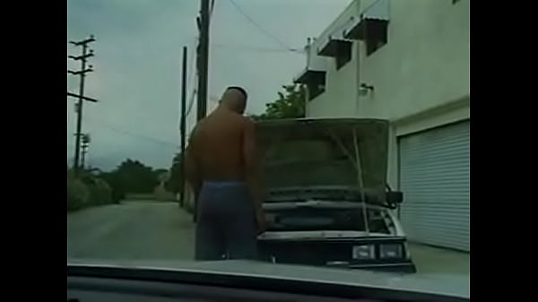 Cruising For Ass